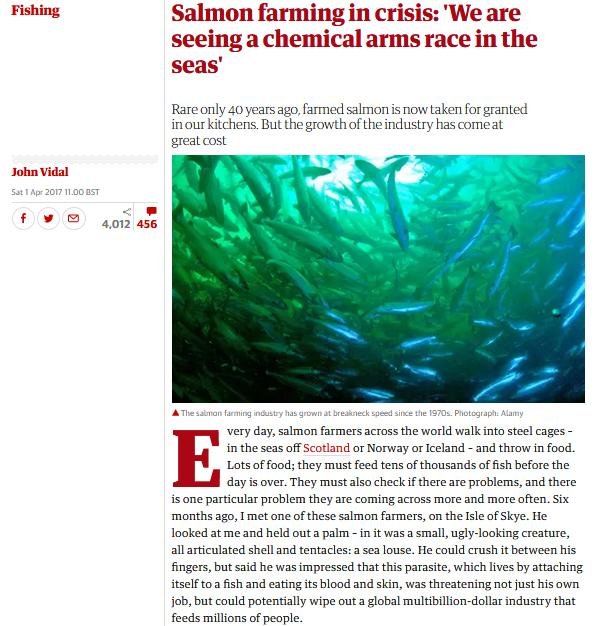 Blog Imidacloprid Feb 2021 #6