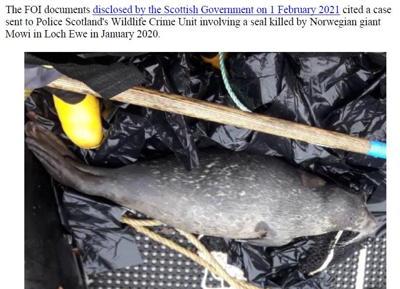 Media Backgrounder FOI Opens Sealed Documents on Killing by Salmon Farms Feb 2021 #3 Media Backgrounder FOI Opens Sealed Documents on Killing by Salmon Farms Feb 2021 #3
