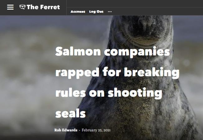 Ferret 25 Feb 2021 #1 Ferret 25 Feb 2021 #1