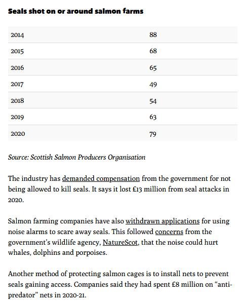 Ferret 25 Feb 2021 #3 Ferret 25 Feb 2021 #3