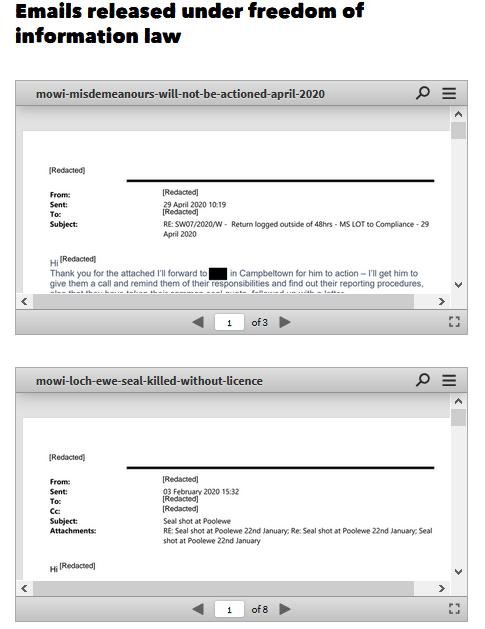 Ferret 25 Feb 2021 #10 Ferret 25 Feb 2021 #10