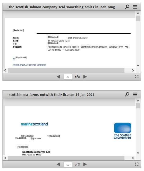 Ferret 25 Feb 2021 #11 Ferret 25 Feb 2021 #11