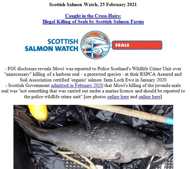 PR Illegal Killing of Seals by Scottish Salmon Farms 25 Feb 2021 #1 PR Illegal Killing of Seals by Scottish Salmon Farms 25 Feb 2021 #1