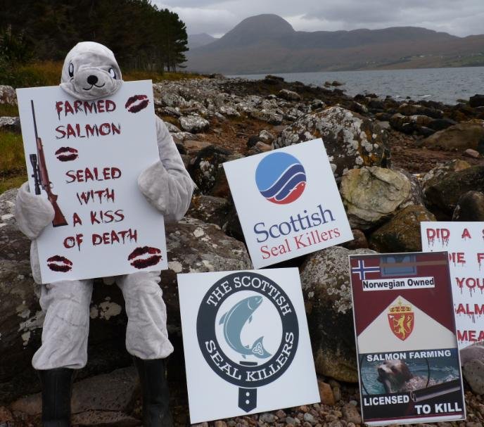 SSF blog #6 SSF blog #6