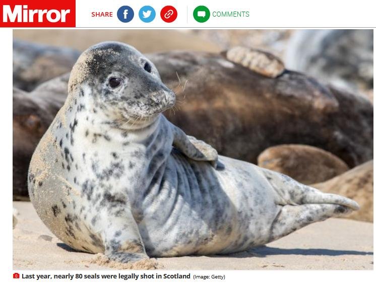 Daily Mirror 1 March 2021 #3