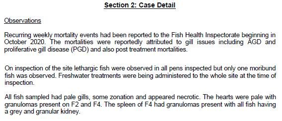 FHI blog March 2021 #28 Torridon