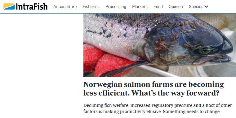 Norway deaths 52 million 2019 #1