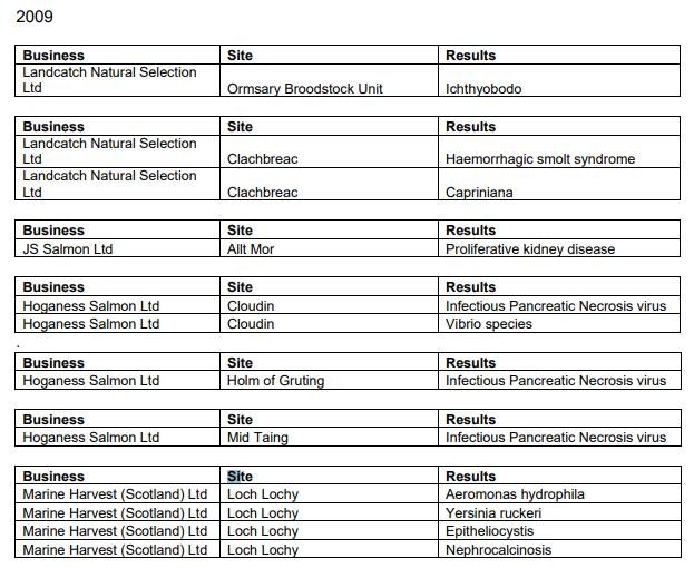 Norway blog #12 Norway blog #12