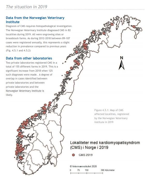 Norway blog #28 Norway blog #28