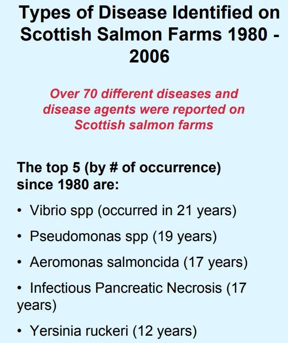 Diseases Scotland 1980-2005 table #2 Diseases Scotland 1980-2005 table #2