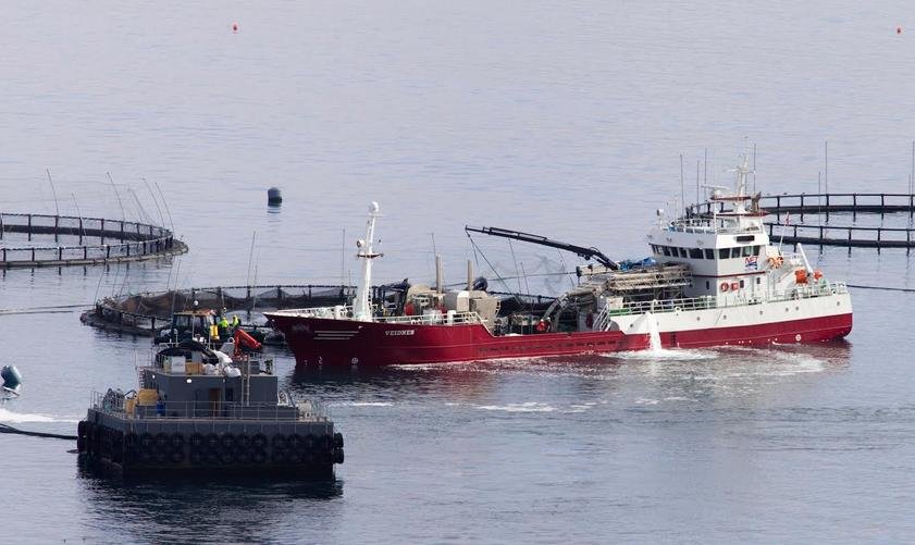 OSH Culnahoc March 2021 photo #1