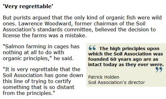 BBC Newsnight 2006 #2