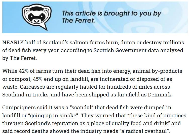 Sunday National 21 March 2021 online version #2