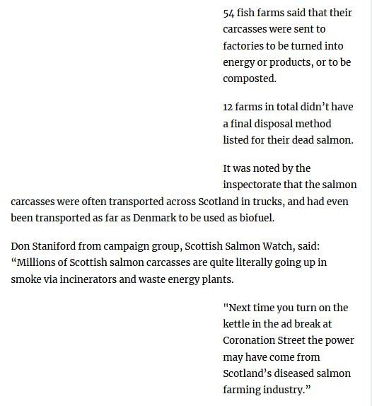 Scotsman 21 March 2021 #4