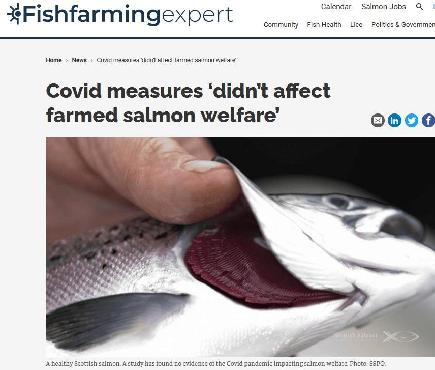 March 2021 blog Covid #1