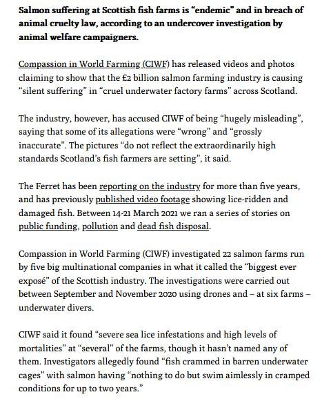 Ferret 23 March 2021 #2