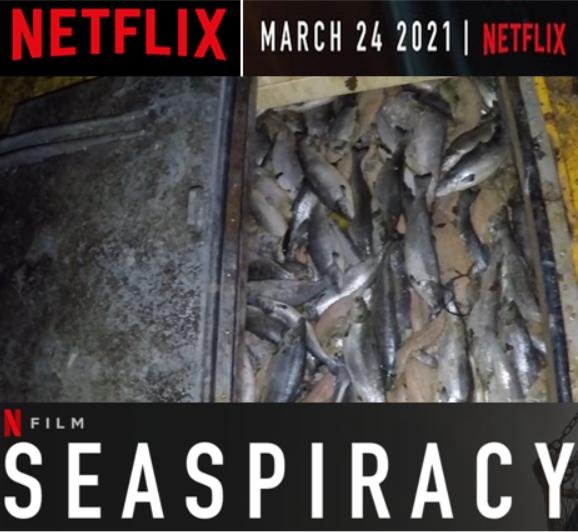 Seaspiracy Netflix salmon poster Seaspiracy Netflix salmon poster