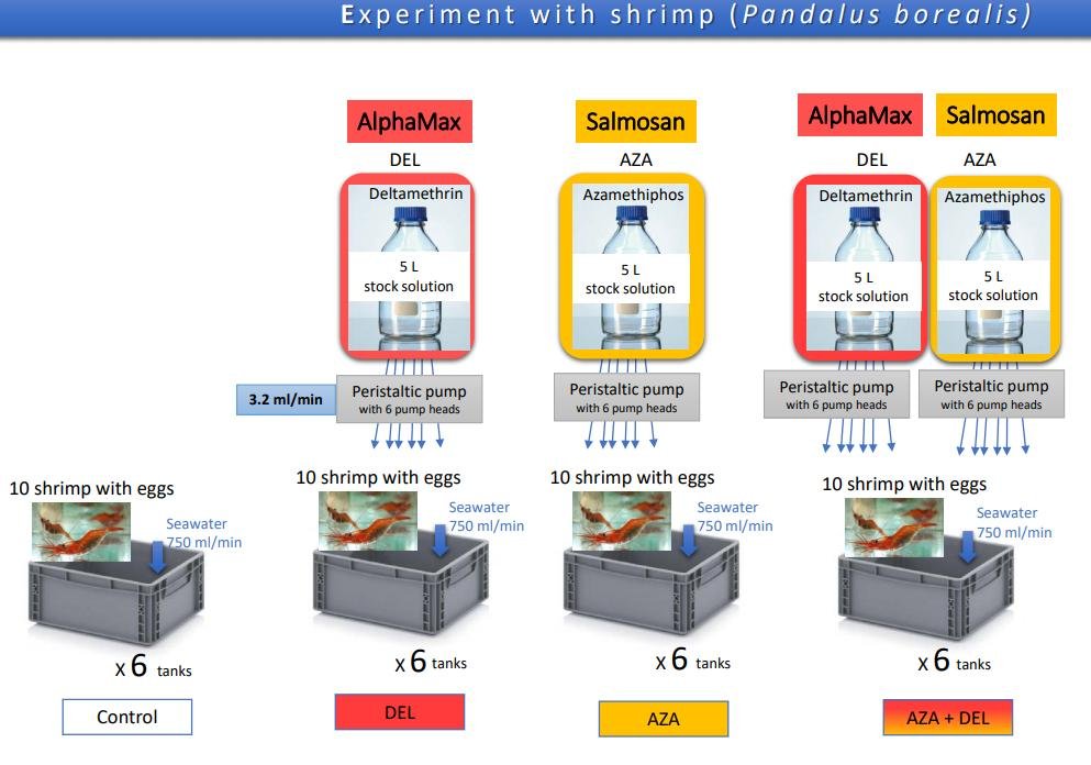 Bechmann 2018 #1 Bechmann 2018 #1