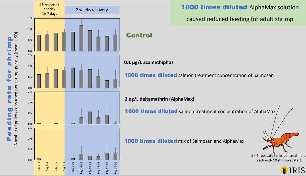 Bechmann 2018 #4 Bechmann 2018 #4