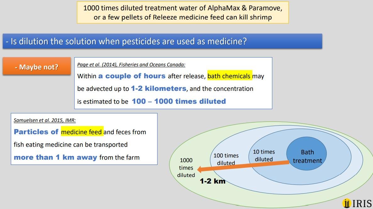 Bechmann 2018 #8 Bechmann 2018 #8