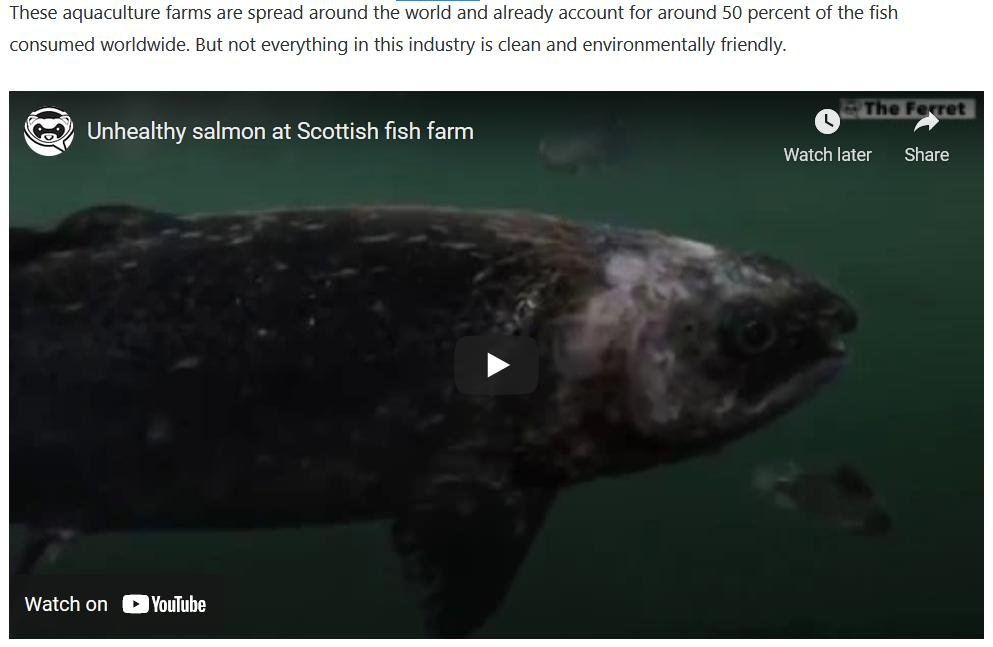 Seaspiracy Courier 24 March 2021 #1