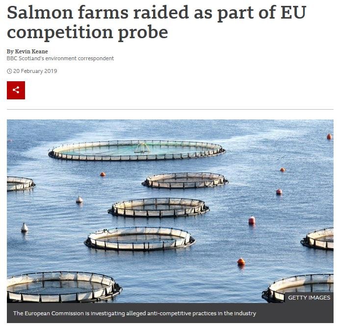 Cartel blog March 2021 #12