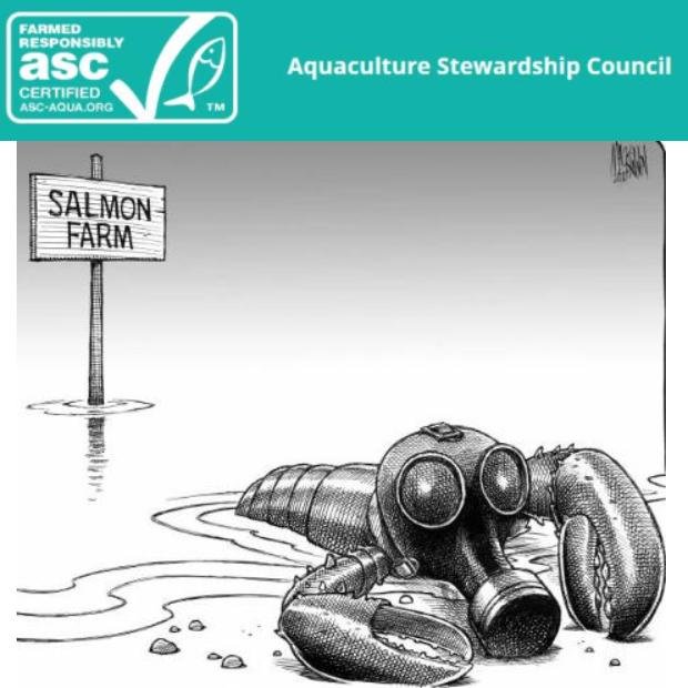 ASC lobster cartoon ASC lobster cartoon