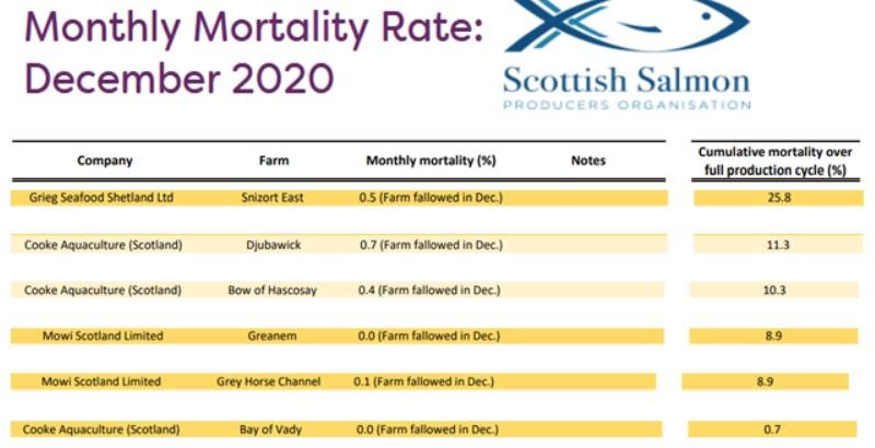 March 2021 blog SSPO #5 March 2021 blog SSPO #5
