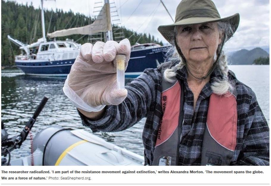 Tyee 29 March 2021 #2