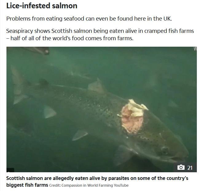 Seaspiracy Sun 30 March 2021 #4