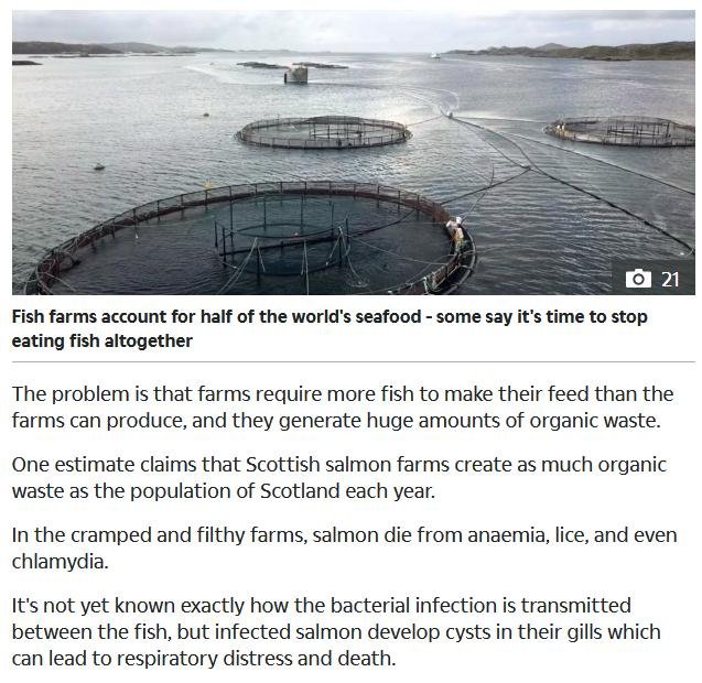 Seaspiracy Sun 30 March 2021 #5