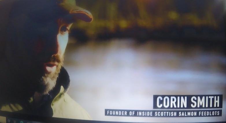 Seaspiracy Corin Smith Seaspiracy Corin Smith