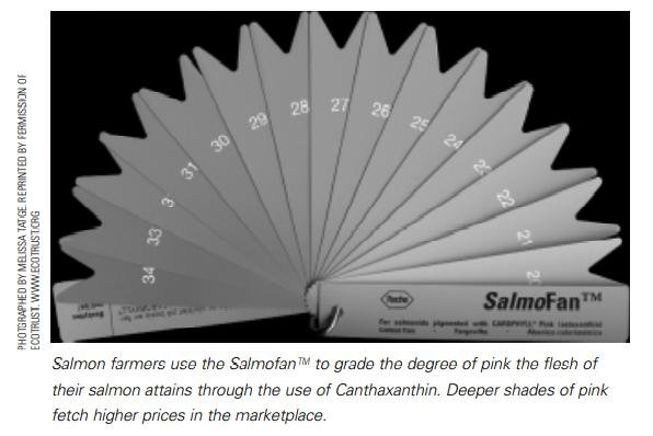 Silent Spring Canthax #5