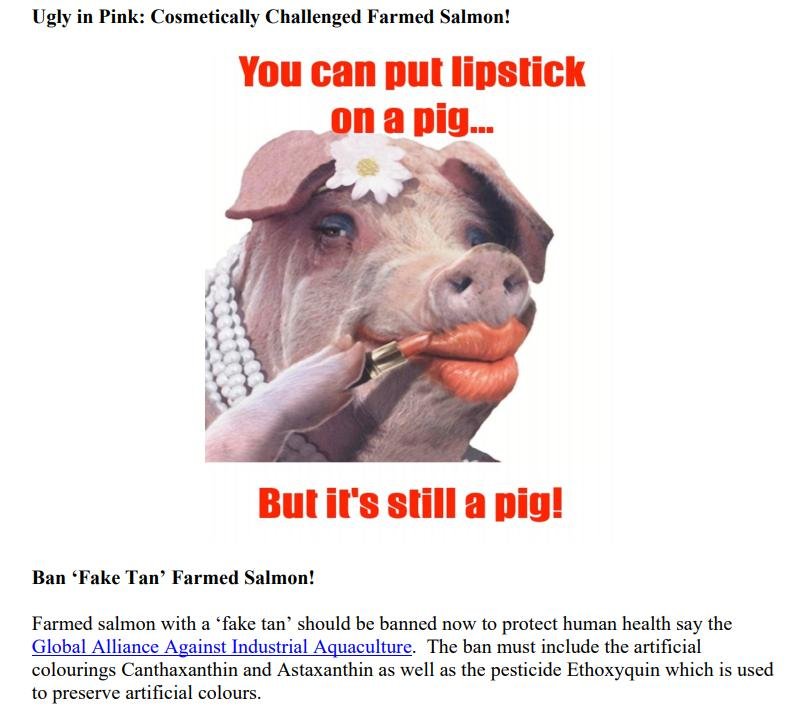 Ugly in Pink report #1