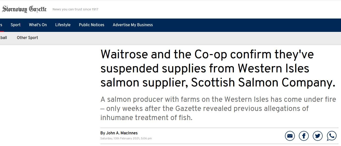 Native Hebridean salmon #3