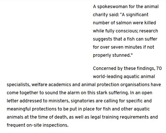 Native Hebridean salmon #6