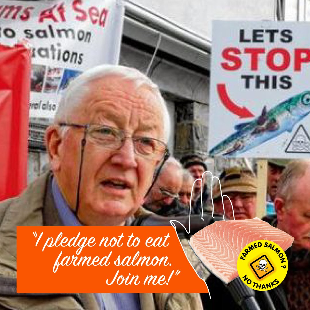 Pledge #16 Niall Greene Pledge #16 Niall Greene