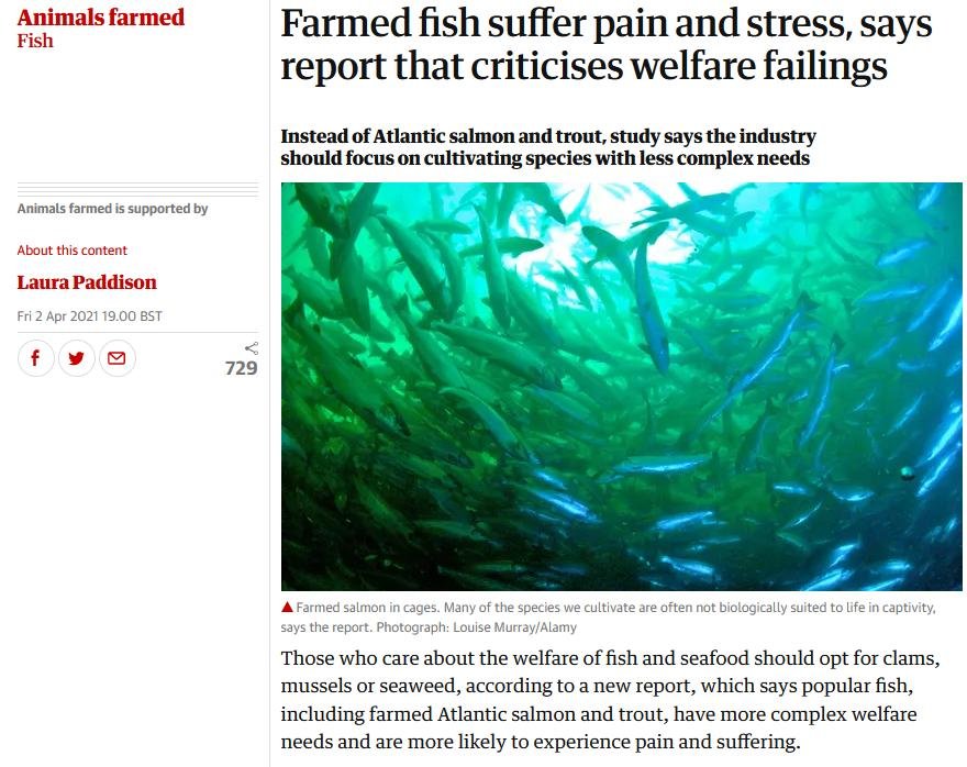 April 2021 blog #1 April 2021 blog #1