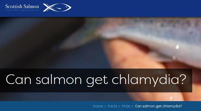 Chlamydia blog April 2021 #1 Chlamydia blog April 2021 #1