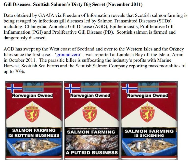 Chlamydia blog April 2021 #19 Chlamydia blog April 2021 #19