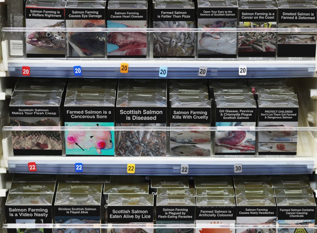 Gallery #1 Gallery #1