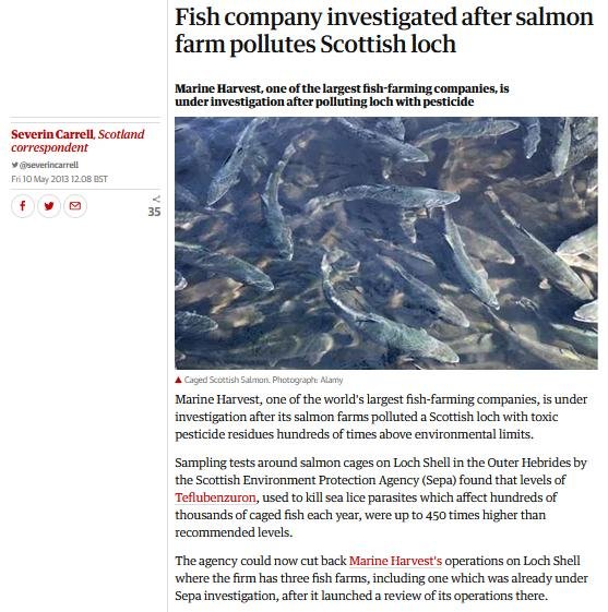 Extreme Activisit blog April 2021 #45 Extreme Activisit blog April 2021 #45