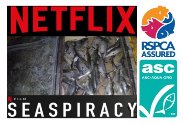 Seaspiracy Netflix salmon poster RSPCA ASC Seaspiracy Netflix salmon poster RSPCA ASC