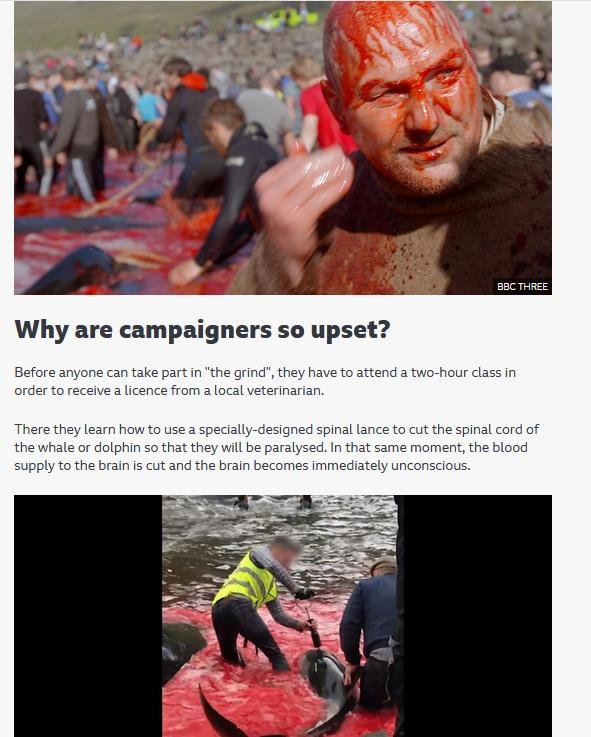 Boutique blog April 2021 #11