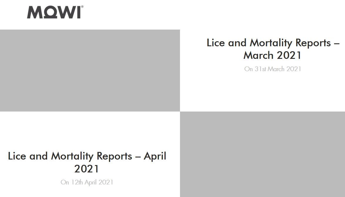 Mowi April 2021