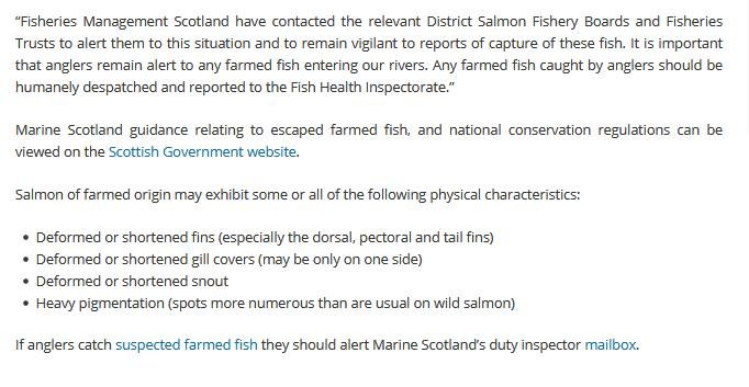 Euan McGrandle blog April 2021 #2 Euan McGrandle blog April 2021 #2