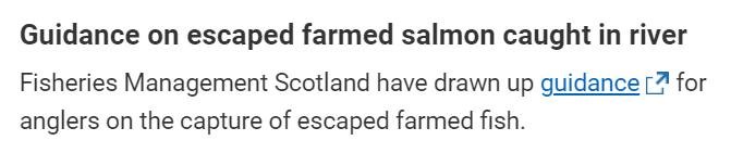 Euan McGrandle blog April 2021 #3 Euan McGrandle blog April 2021 #3