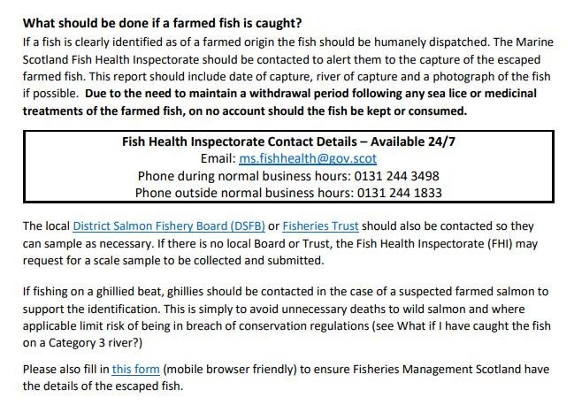 Euan McGrandle blog April 2021 #6 Euan McGrandle blog April 2021 #6