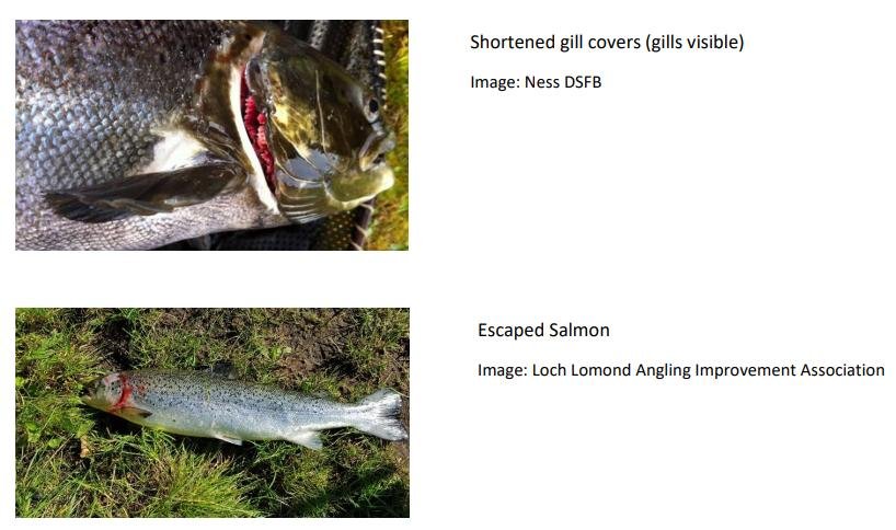 Euan McGrandle blog April 2021 #12 Euan McGrandle blog April 2021 #12