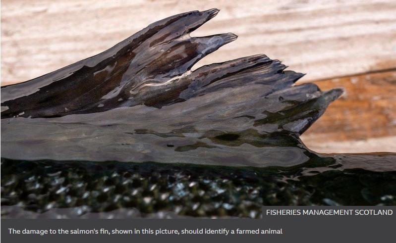 Euan McGrandle blog April 2021 #20 Euan McGrandle blog April 2021 #20